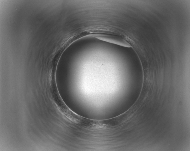 X0000079580206200612081544