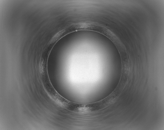 X0000079580216200612081544