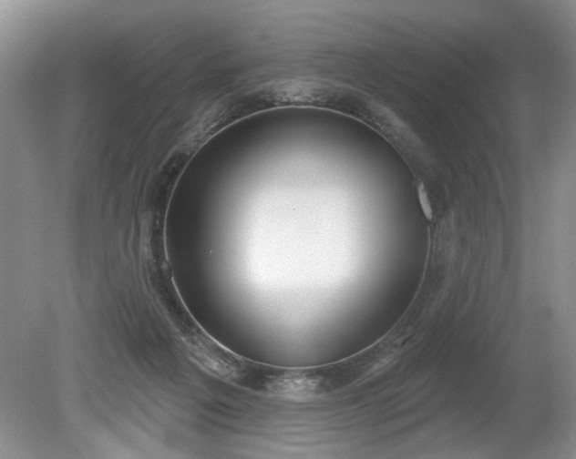 X0000079580217200612081544