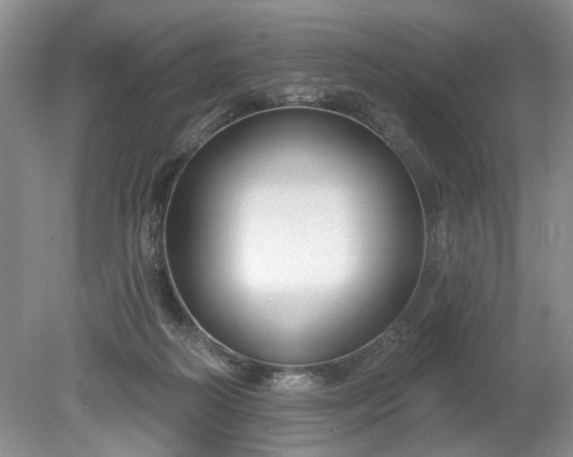 X0000079580218200612081544