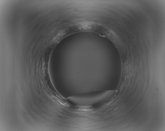 X0000079580223200612081543