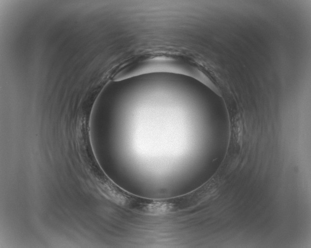 X0000079580225200612081543