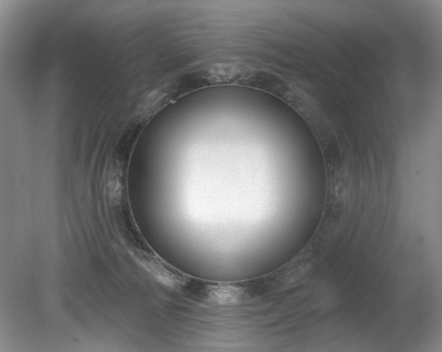 X0000079580226200612081543