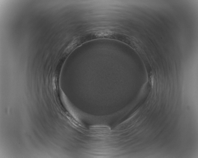 X0000079580227200612081543