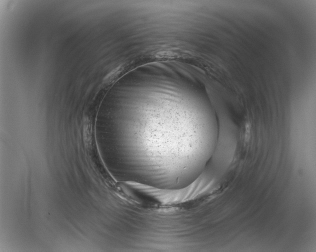 X0000079580228200612081543