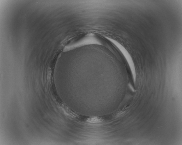 X0000079580231200612081543