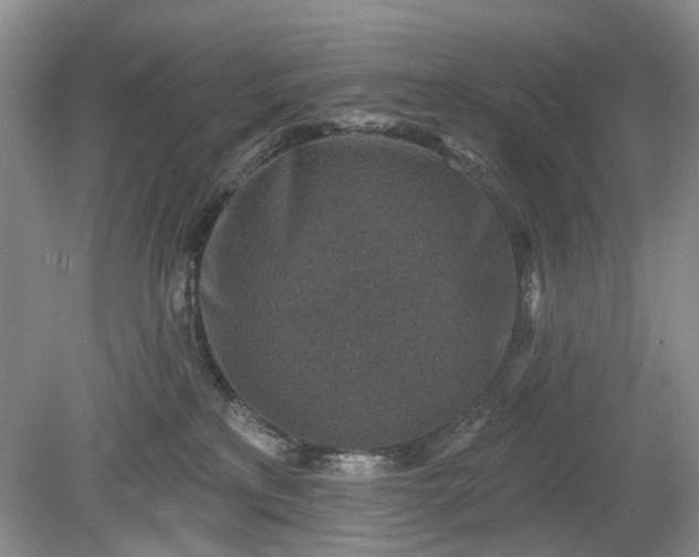 X0000079580233200612081543