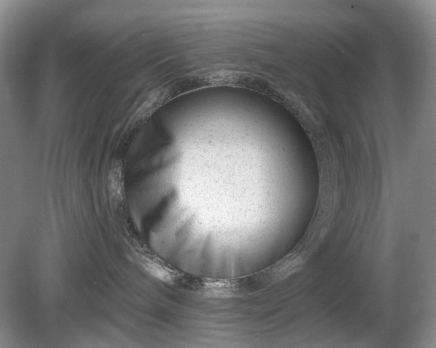 X0000079580240200612081543