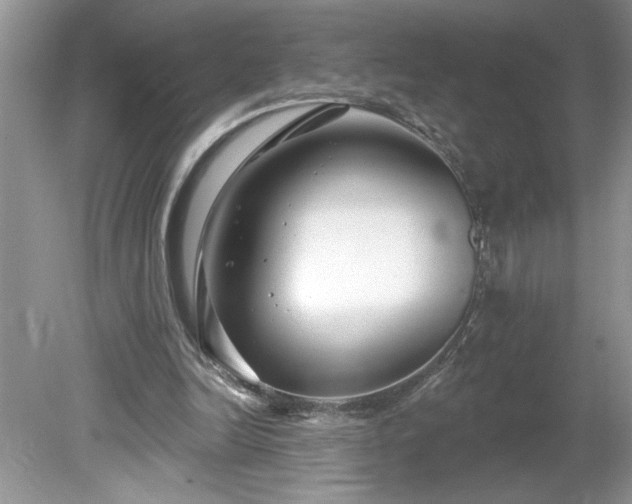 X0000079580246200612081542