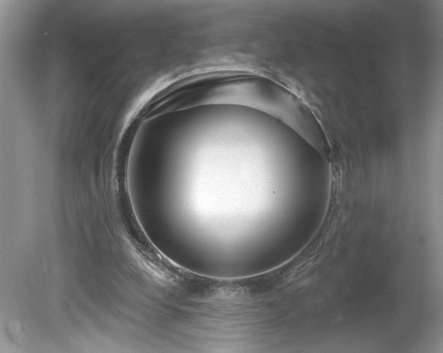X0000079580248200612081542