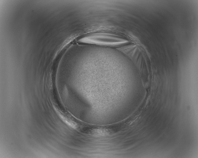 X0000079580250200612081542