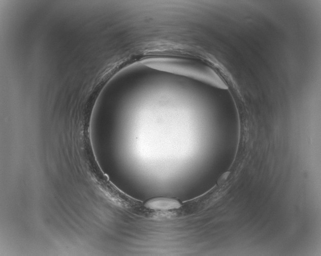 X0000079580257200612081543