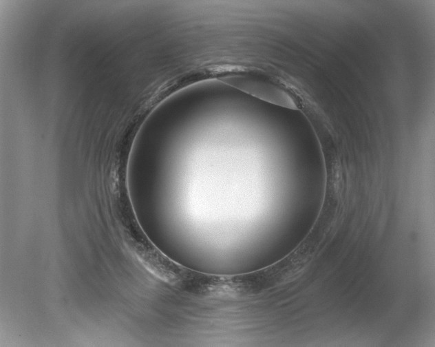 X0000079580259200612081543