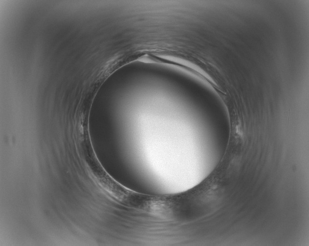 X0000079580264200612081543
