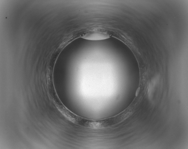 X0000079580265200612081543