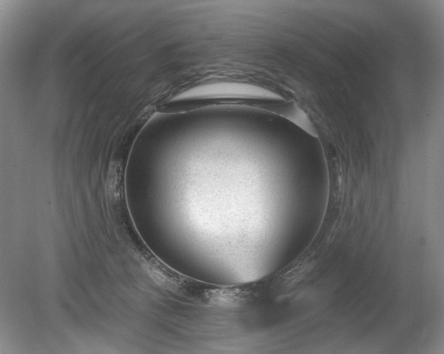 X0000079580273200612081543