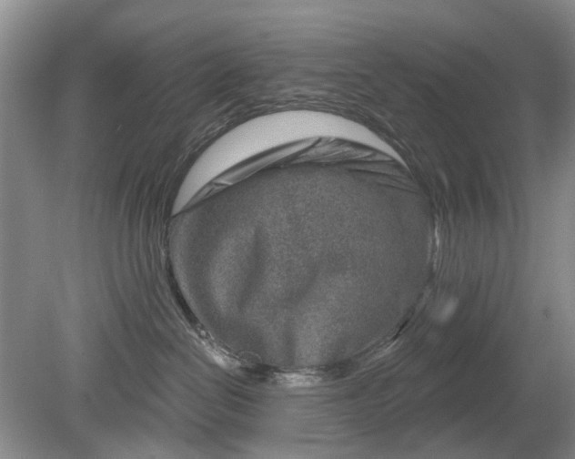 X0000079580286200612081543
