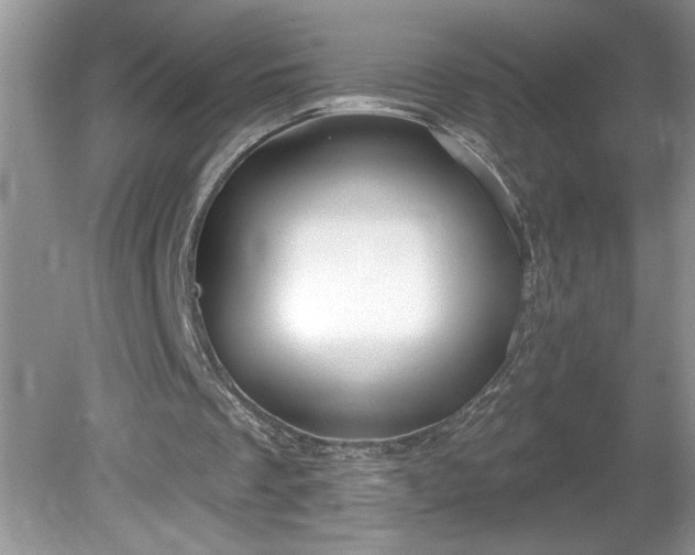X0000079580289200612081542