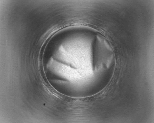 X0000079580290200612081542