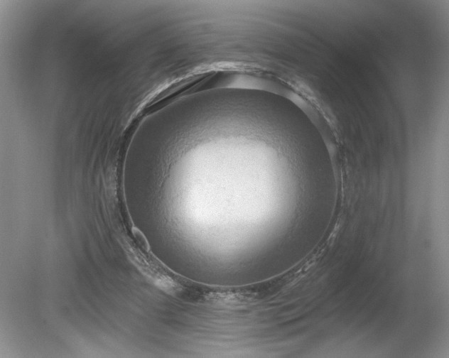 X0000079580297200612081542