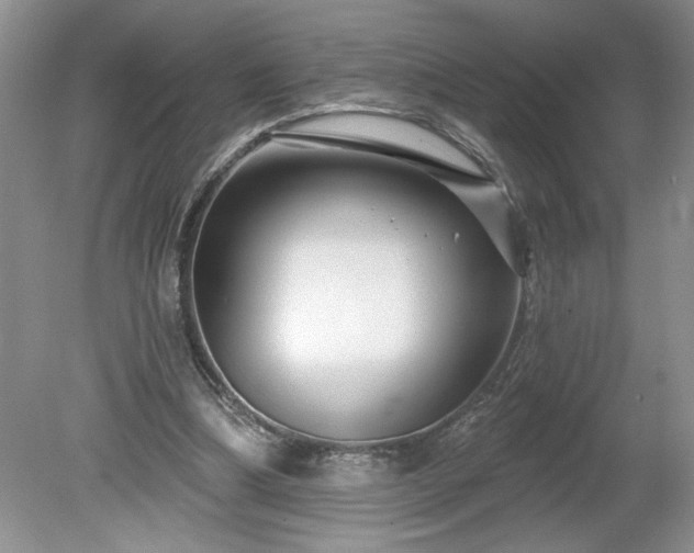 X0000079580298200612081542