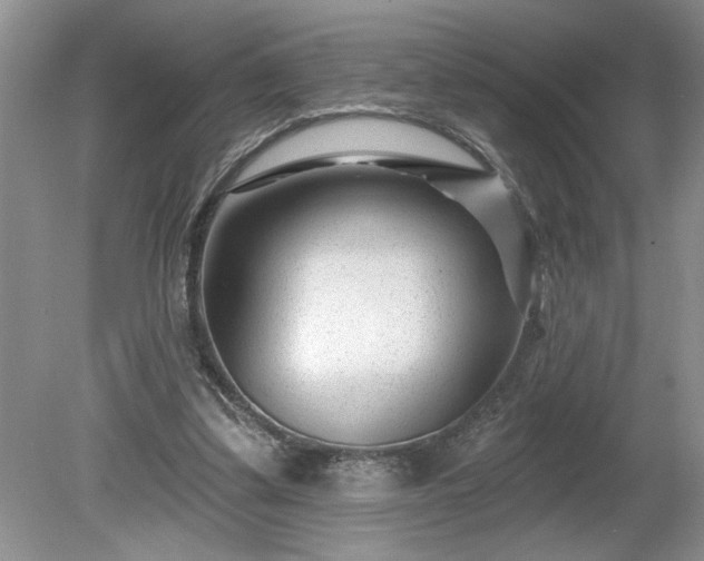 X0000079580299200612081542