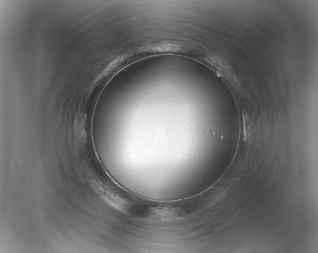 X0000079580300200612081542