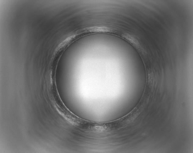 X0000079580302200612081542