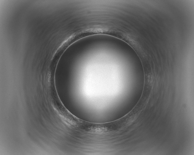 X0000079580304200612081542