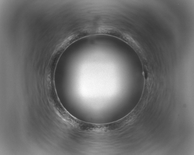 X0000079580306200612081542