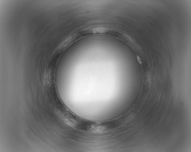 X0000079580311200612081542