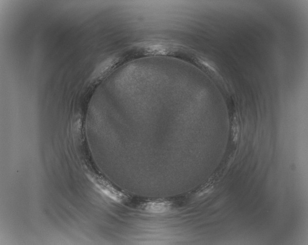 X0000079580314200612081542