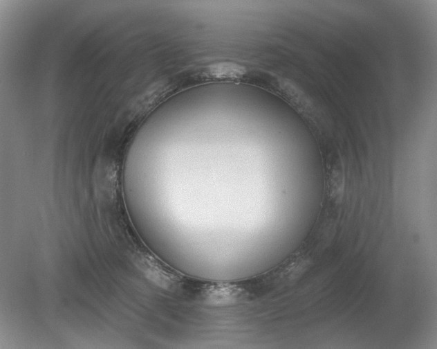 X0000079580321200612081542