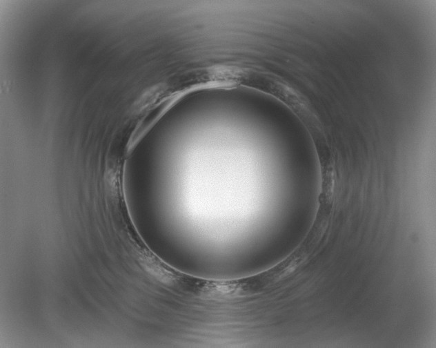 X0000079580329200612081542