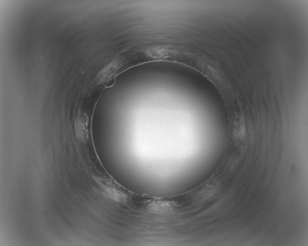 X0000079580332200612081542