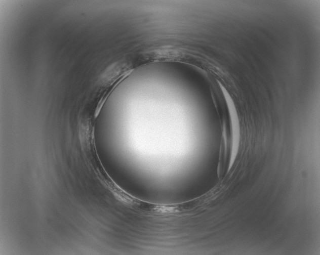 X0000079580333200612081542