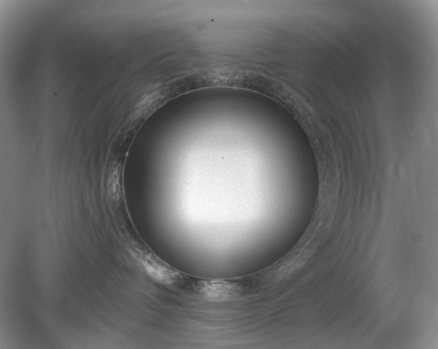 X0000079580336200612081542