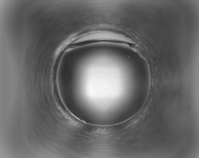X0000079580341200612081541