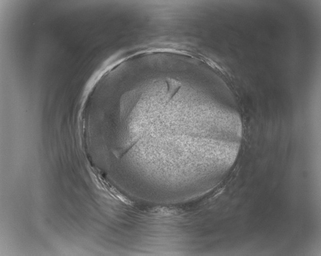 X0000079580343200612081541