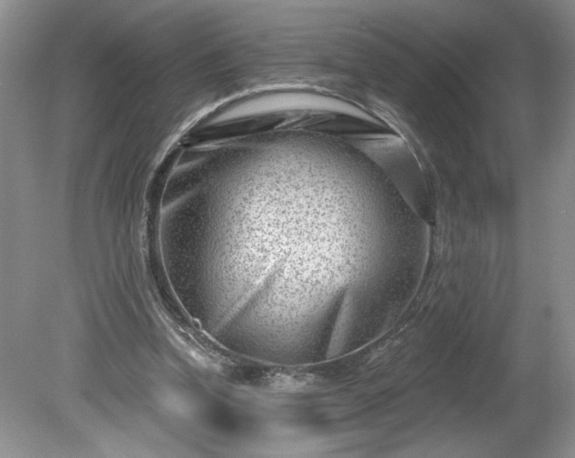 X0000079580346200612081541