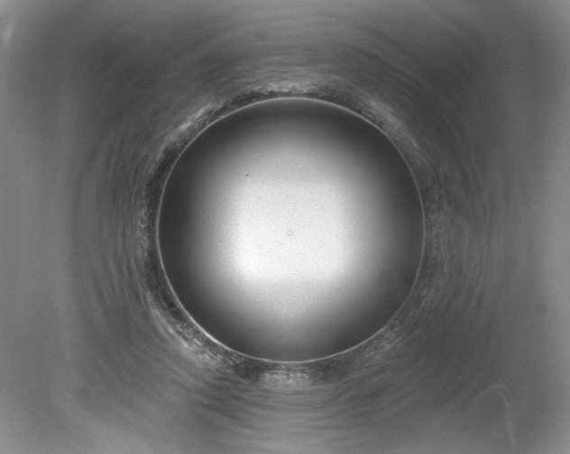 X0000079580354200612081541