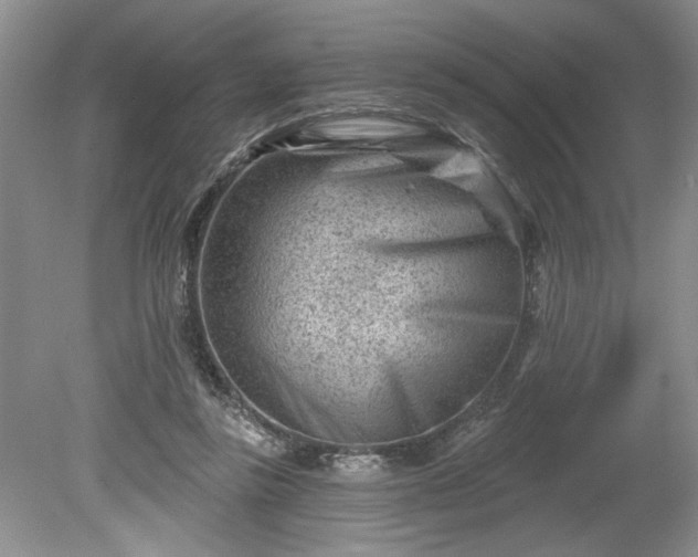 X0000079580355200612081541