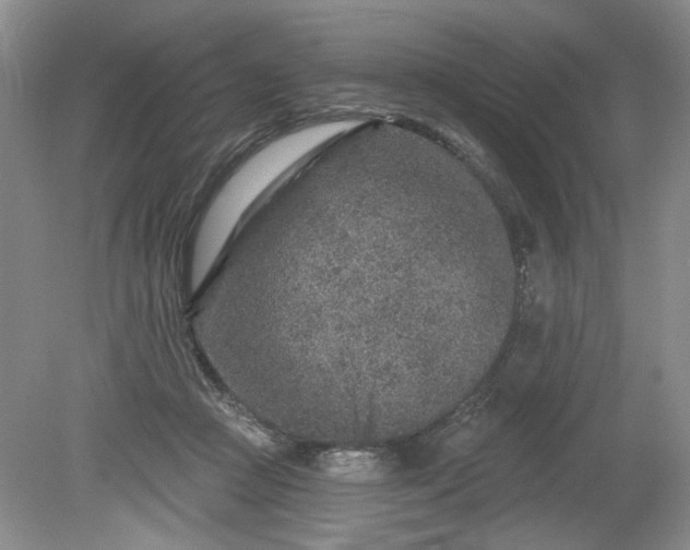 X0000079580361200612081541