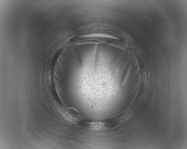 X0000079580363200612081541