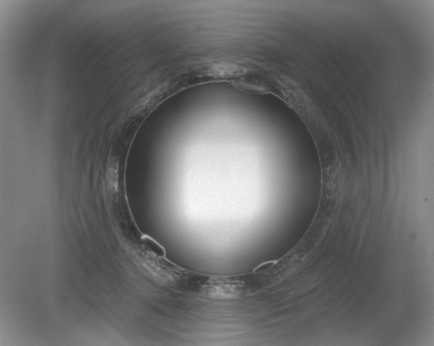 X0000079580368200612081541