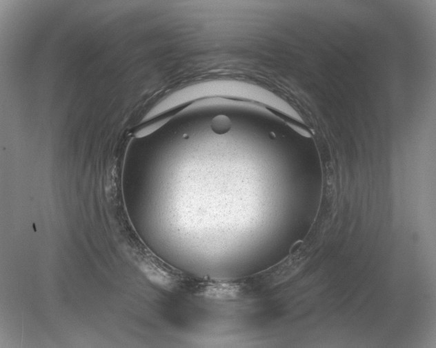 X0000079580369200612081541