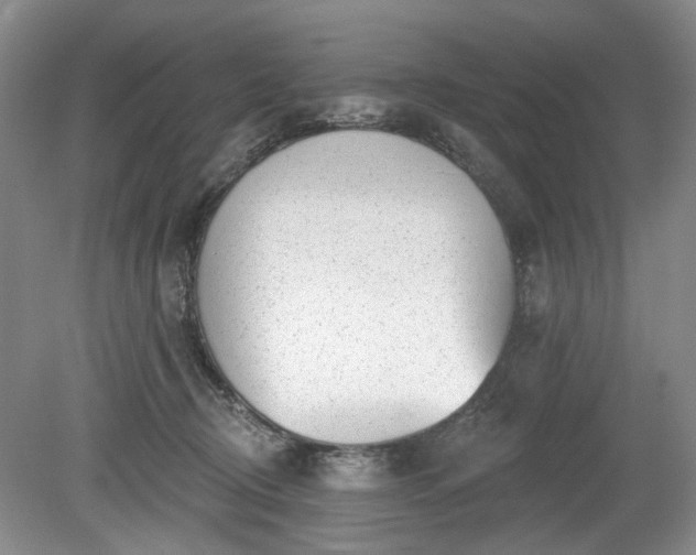 X0000079580370200612081541