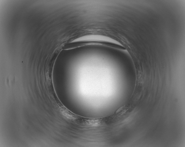 X0000079580377200612081541