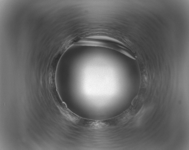 X0000079580379200612081541
