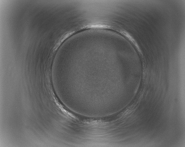 X0000079580385200612081541